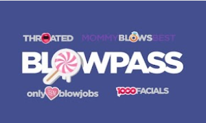 BLOWPASS UNLIMITED | 30 DAYS WARRANTY